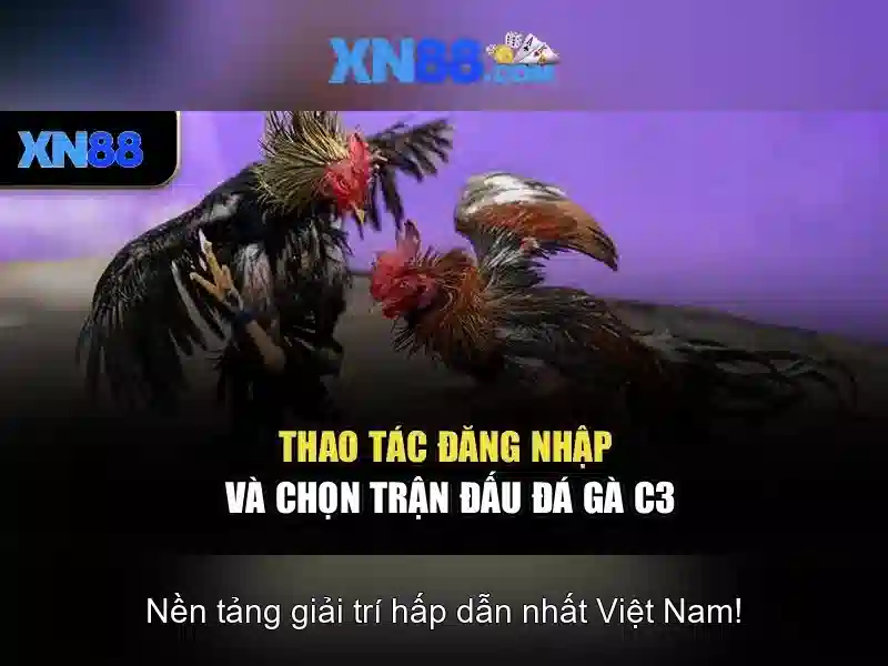 An toàn, pháp lý và trách nhiệm