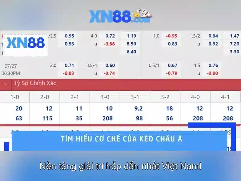 Hỗ trợ và cộng đồng