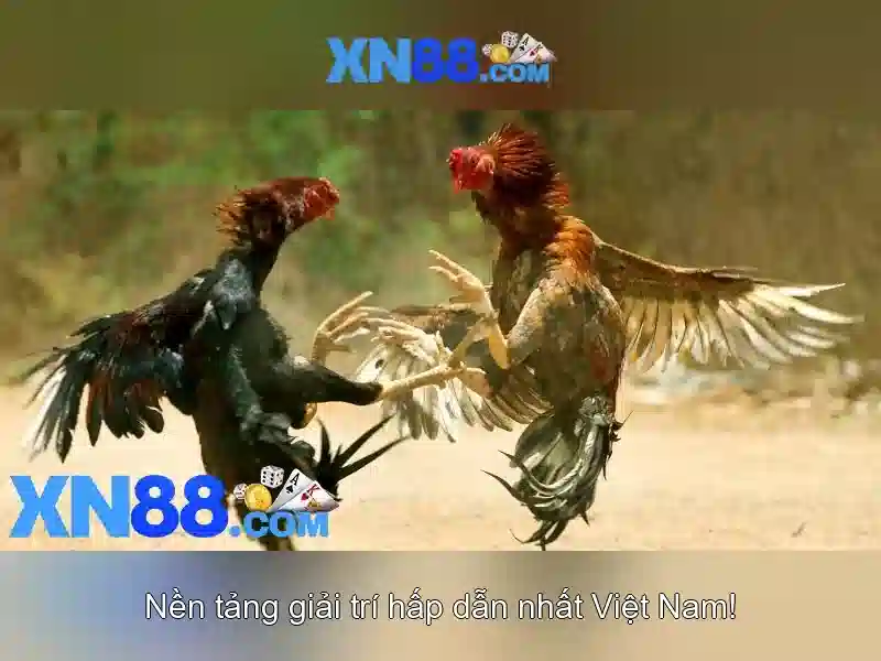 https://gospel2me.com/images/text/xn88/xn88-text2603312261.webp Gợi ý chiến lược cho người mới