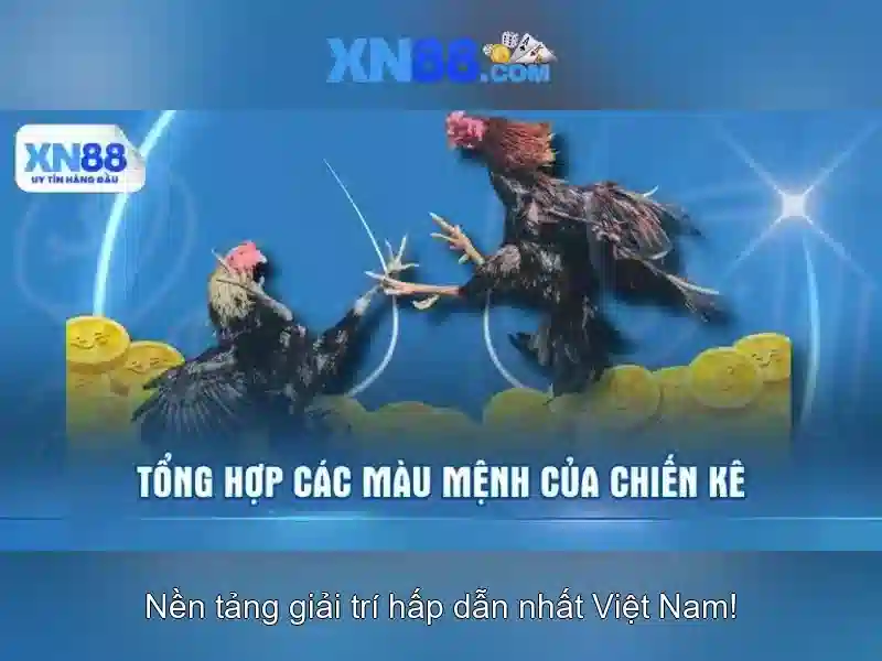 Giao diện nhà cái hoàn hảo