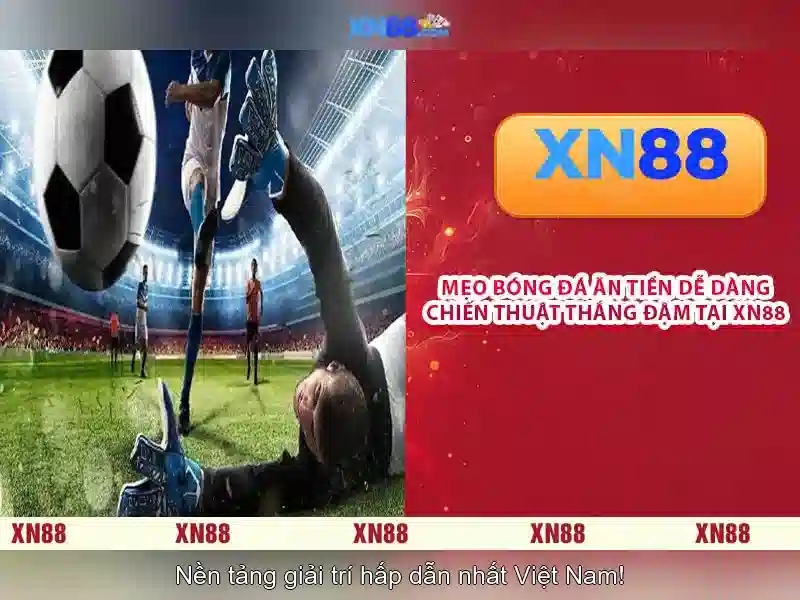 Nền tảng và trò chơi nổi bật