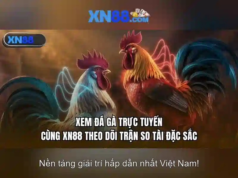 xn88 - Tổng quan về nền tảng giải trí và cá cược trực tuyến
