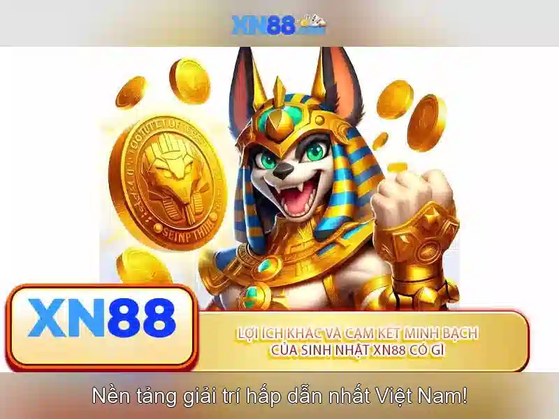 Giao diện nhà cái hoàn hảo
