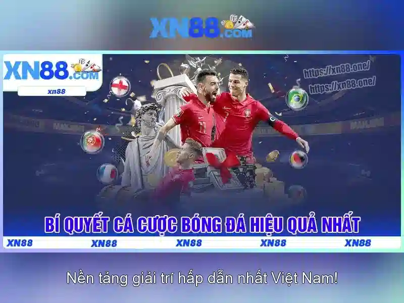 Giới thiệu về xn88
