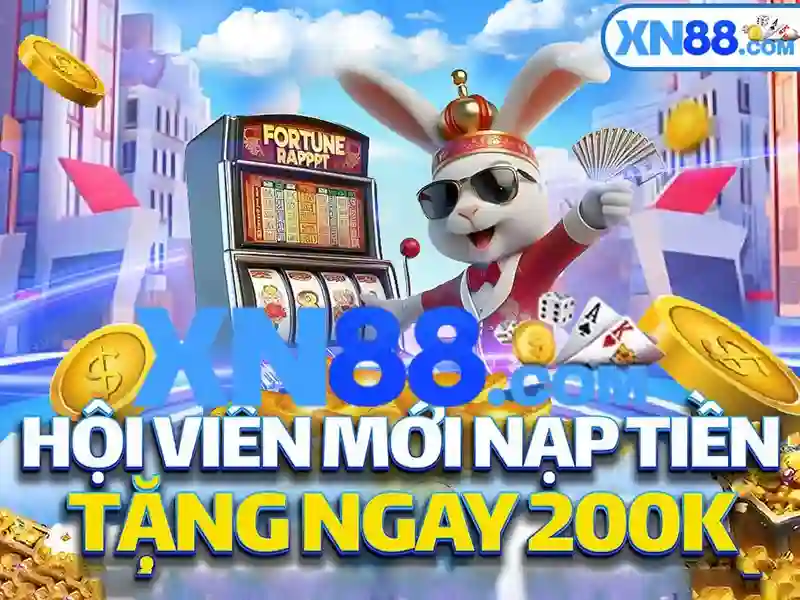 Lĩnh vực và mục tiêu của xn88