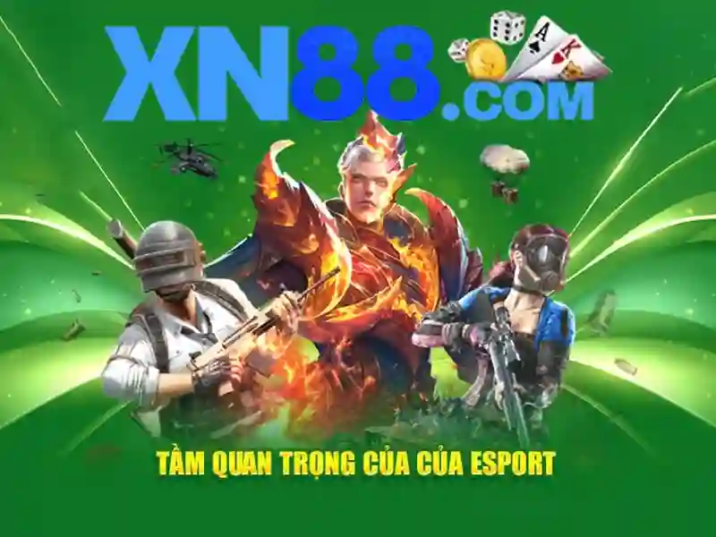 Giới thiệu về xn88