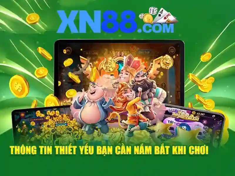 Nền tảng và chức năng